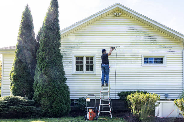 Local Pressure Washing Services